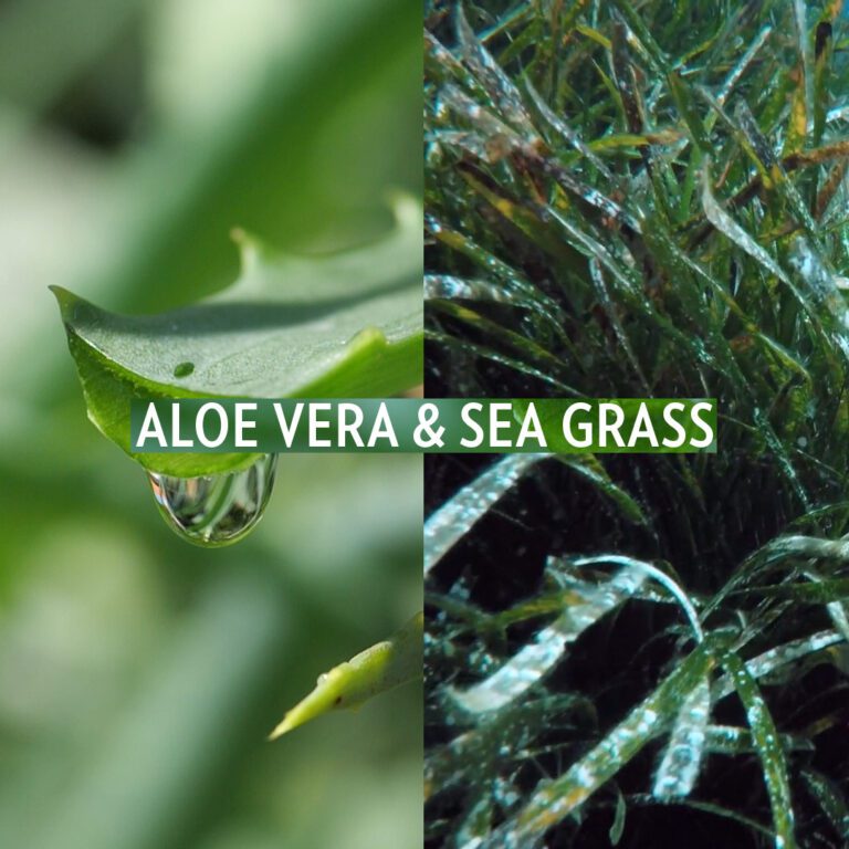hydro aloe vera sea grass (3)