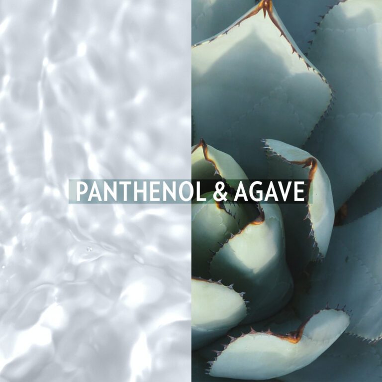 sun panthenol agave (1)